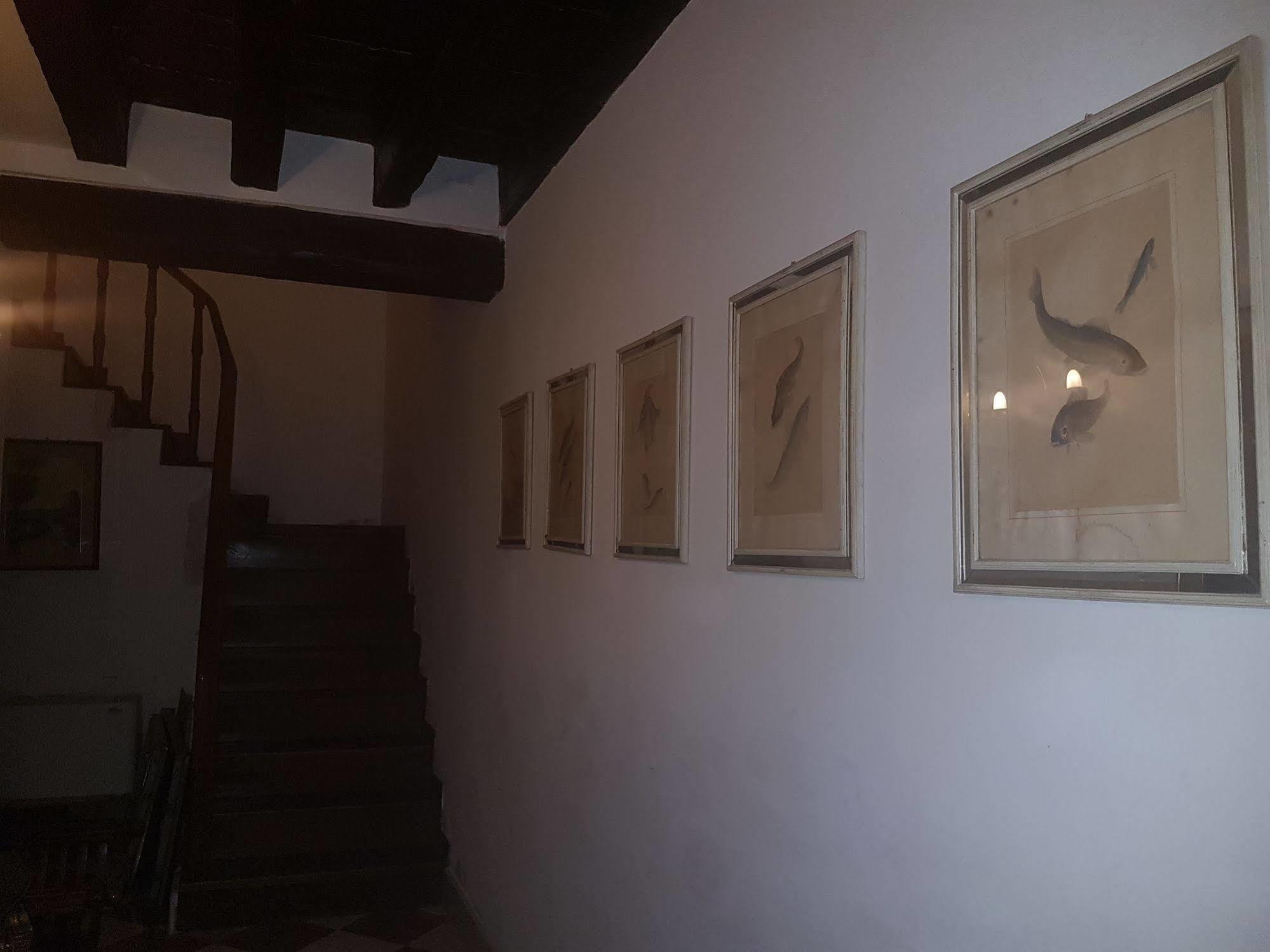 Casa Arte Otel Venedik Dış mekan fotoğraf